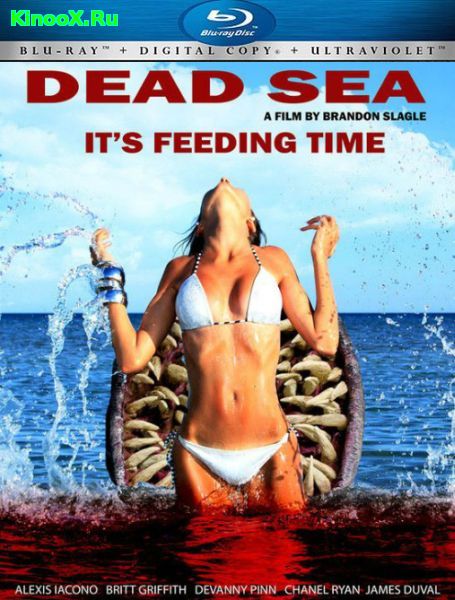 Мертвое море (2014) » Смотреть Онлайн