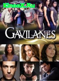 сериал Хищники / Gavilanes 2 сезон